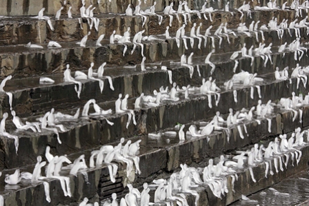 esculturas de gelo em protesto ao aquecimento global l imagem: nele azevedo